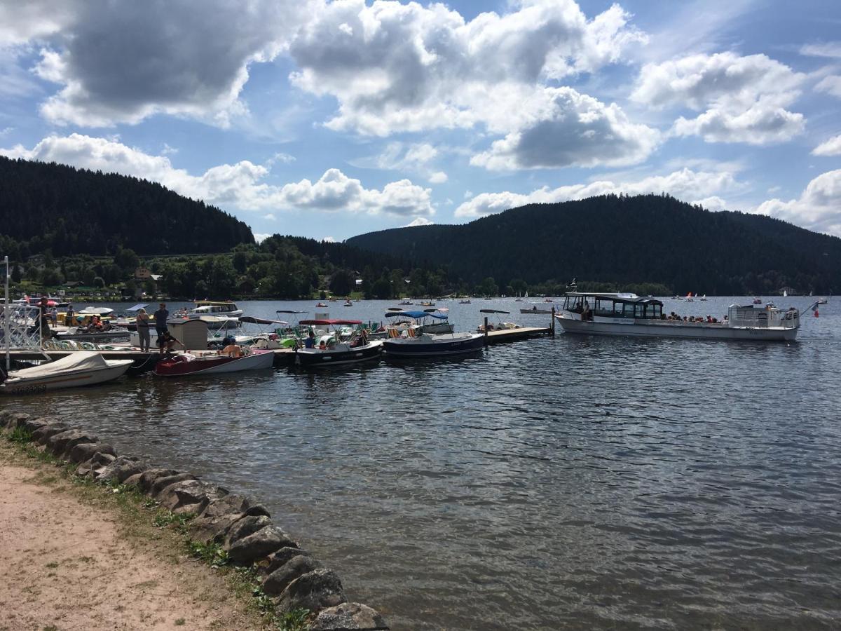 Gite Les Dryades Gérardmer Екстериор снимка