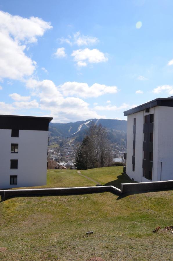 Gite Les Dryades Gérardmer Екстериор снимка