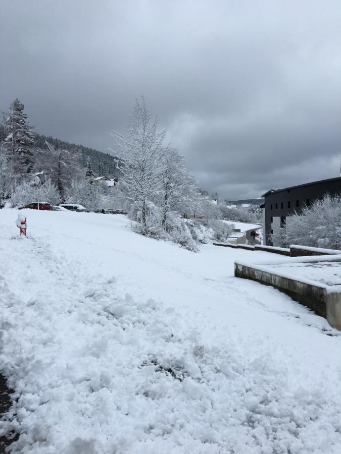 Gite Les Dryades Gérardmer Екстериор снимка