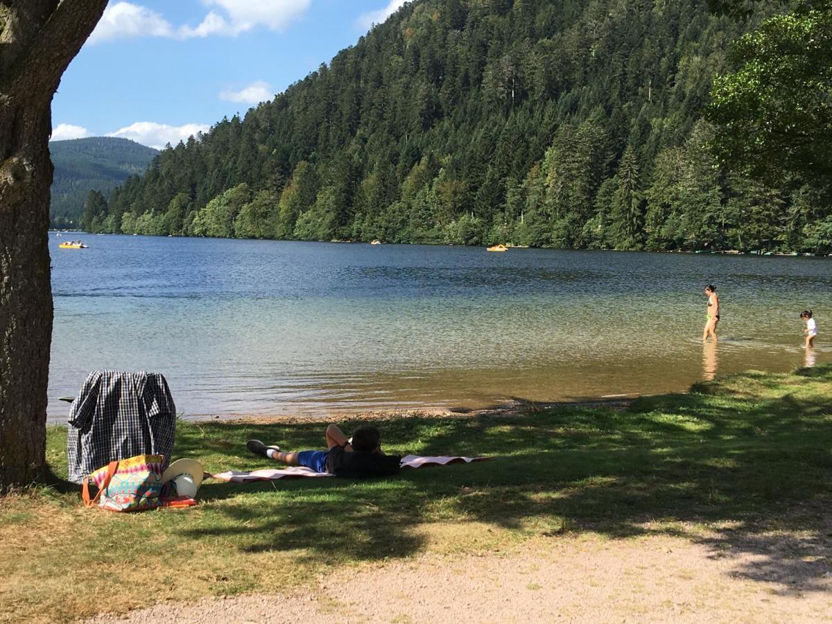 Gite Les Dryades Gérardmer Екстериор снимка