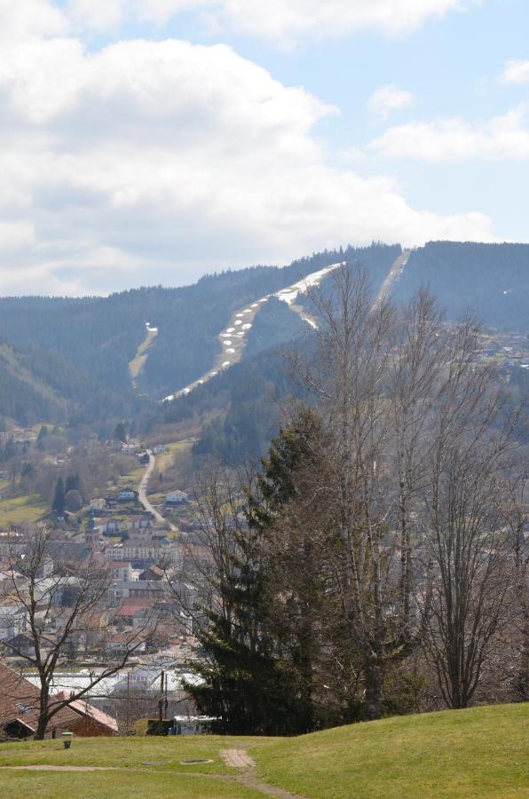 Gite Les Dryades Gérardmer Екстериор снимка