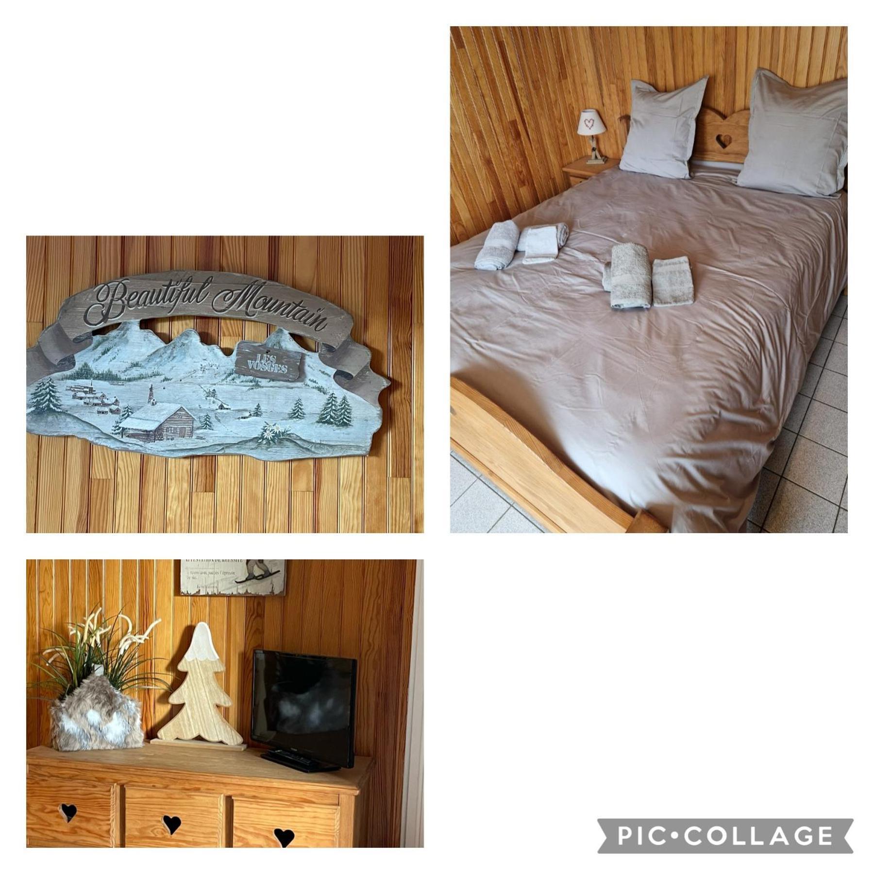 Gite Les Dryades Gérardmer Екстериор снимка